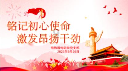 里约奥运会